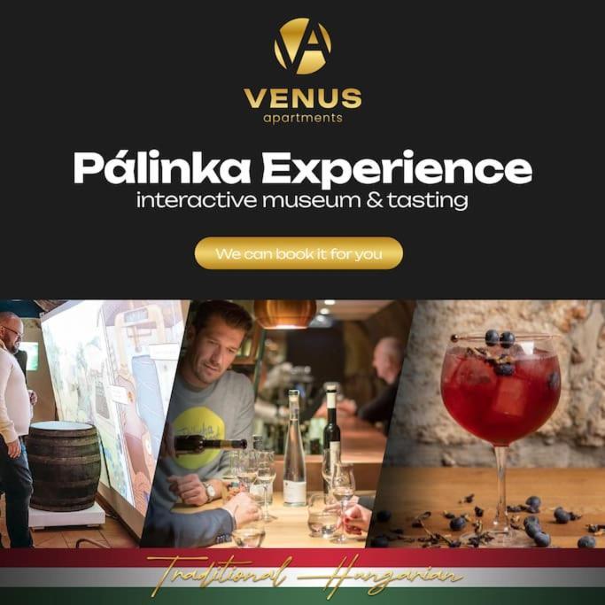 Venus Apartments - Klauzal Ter I بودابست المظهر الخارجي الصورة